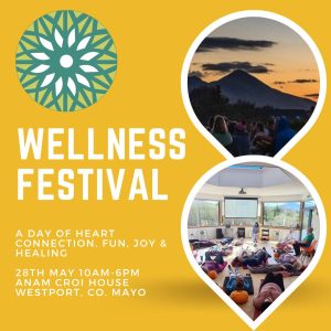 Sun 28th May - Lake Shore Wellness Festival - Anam Croi House, Westport, Co. Mayo