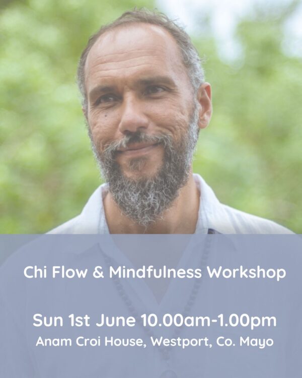 Sun 1st June 10am-1pm, Chi Flow Workshop with Brazilian Guest Facilitator Dharmamitra, Westport, Co. Mayo