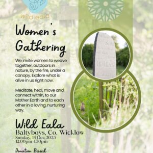 Sun, 14th Dec, 12.00pm-1.30pm - Women's Circle, Wild Eala, Baltyboys, Co. Wicklow